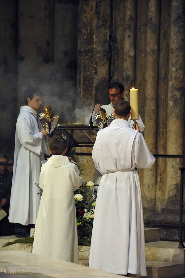 Nom de l'image : D30050229_1_(c)Norbert-JUNG — Description :